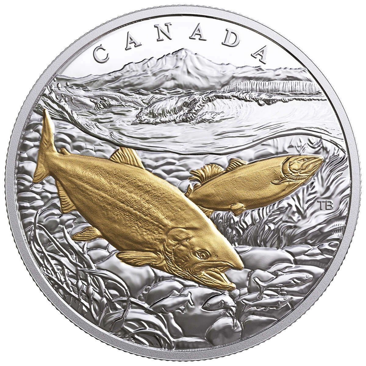 2017 $20 Sea to Sea to Sea Pacific Salmon - Pure Silver Coin Default Title