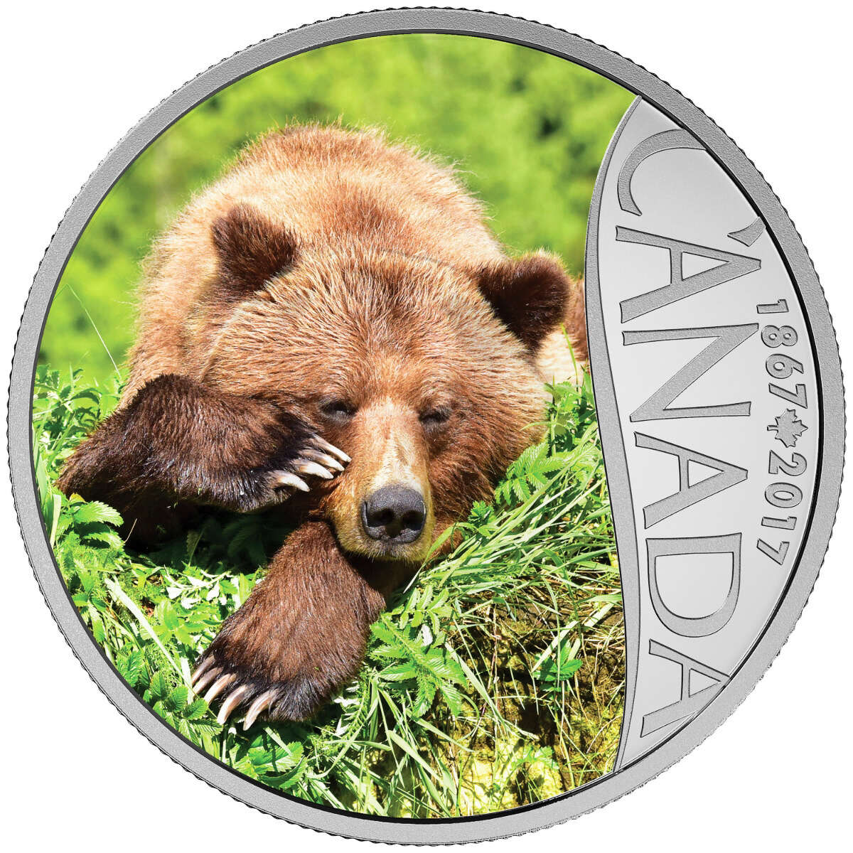 2017 $10 Celebrating Canada's 150th: Grizzly Bear (British Columbia) - Pure Silver Coin Default Title