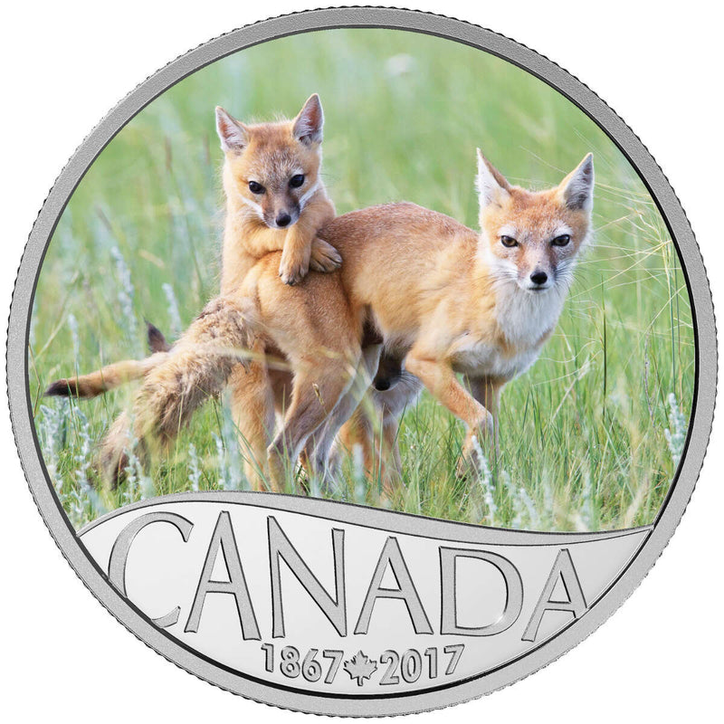 2017 $10 Celebrating Canada's 150th: Wild Swift Fox and Pups (Saskatchewan) - Pure Silver Coin Default Title