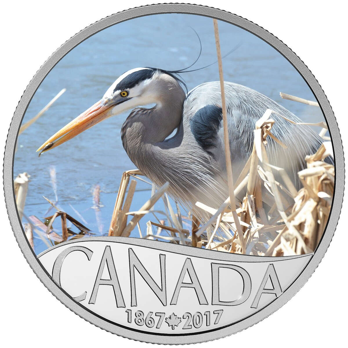 2017 $10 Celebrating Canada's 150th: Great Blue Heron (New Brunswick) - Pure Silver Coin Default Title