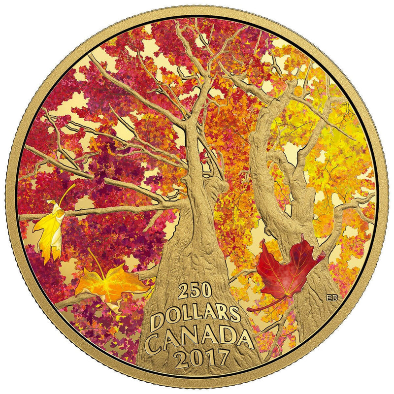 2017 $250 Maple Canopy: Kaleidoscope of Colour - Pure Gold Coin Default Title