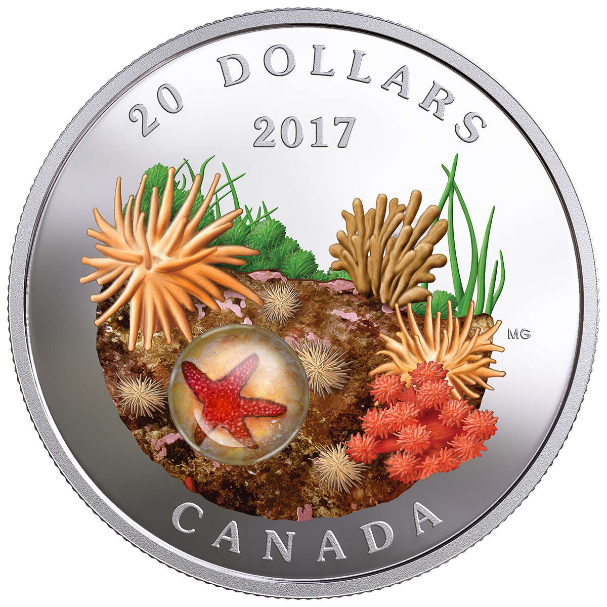 2017 $20 Under the Sea: Sea Star - Pure Silver Coin Default Title