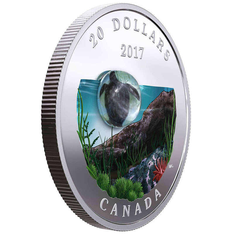 2017 $20 Under the Sea: Sea Turtle - Pure Silver Coin Default Title