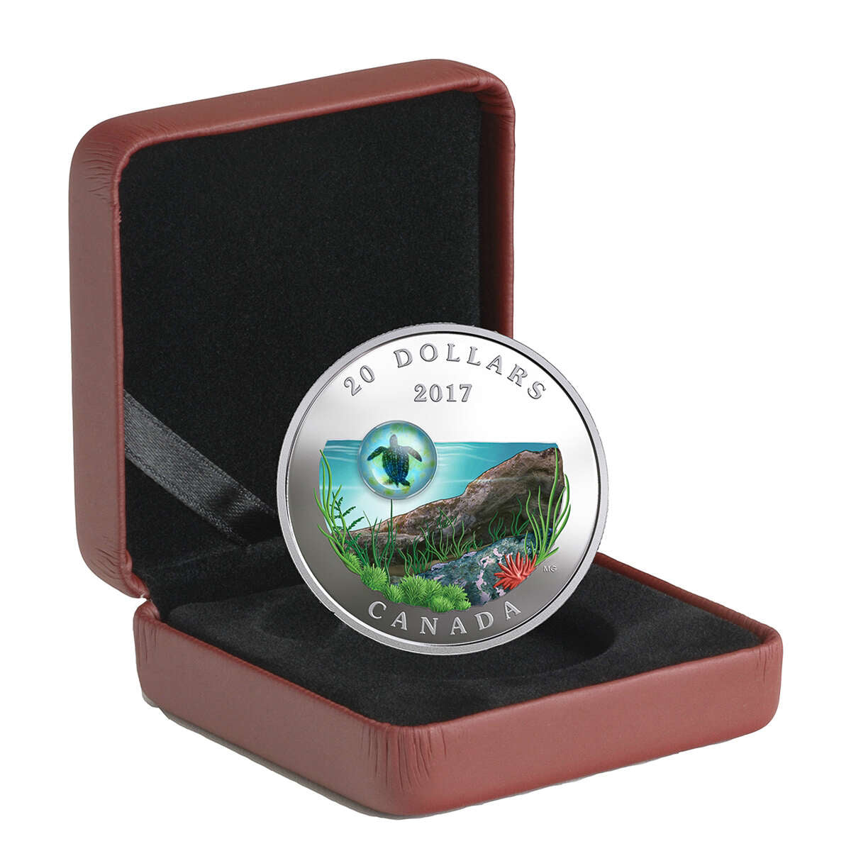2017 $20 Under the Sea: Sea Turtle - Pure Silver Coin