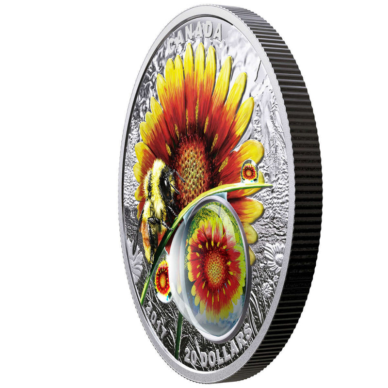 2017 $20 Mother Nature's Magnification: Beauty Under the Sun - Pure Silver Coin Default Title