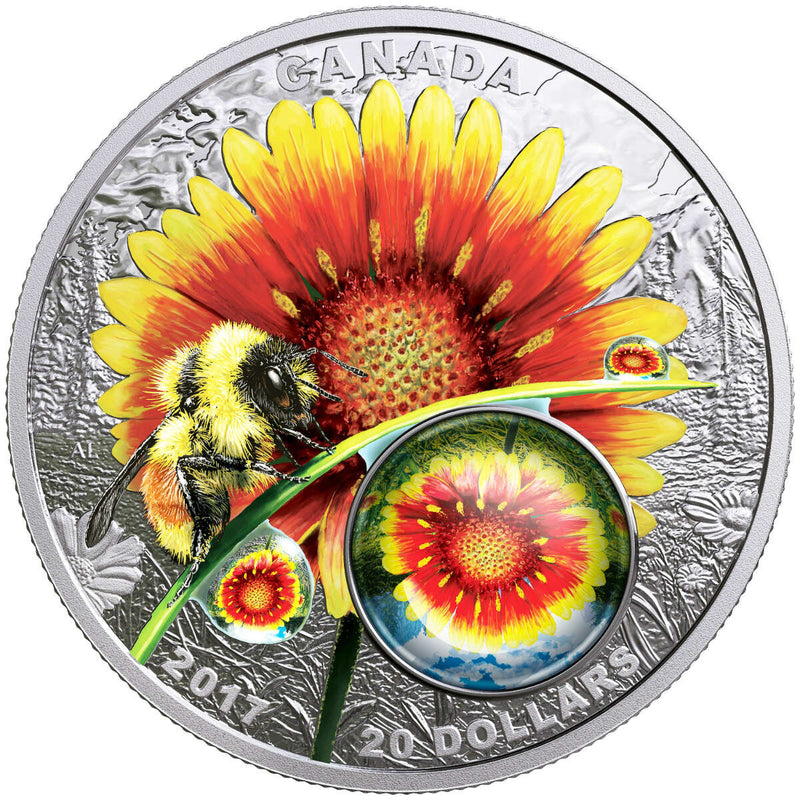 2017 $20 Mother Nature's Magnification: Beauty Under the Sun - Pure Silver Coin Default Title