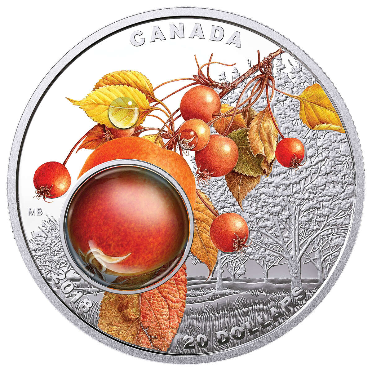 2018 $20 Mother's Nature's Magnification: Morning Dew - Pure Silver Coin Default Title