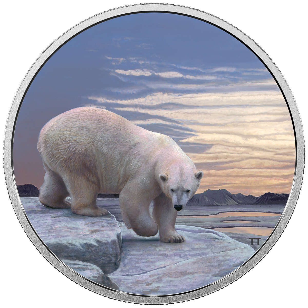 2018 $30 Arctic Animals and Northern Lights:Polar Bear - Pure Silver Coin Default Title