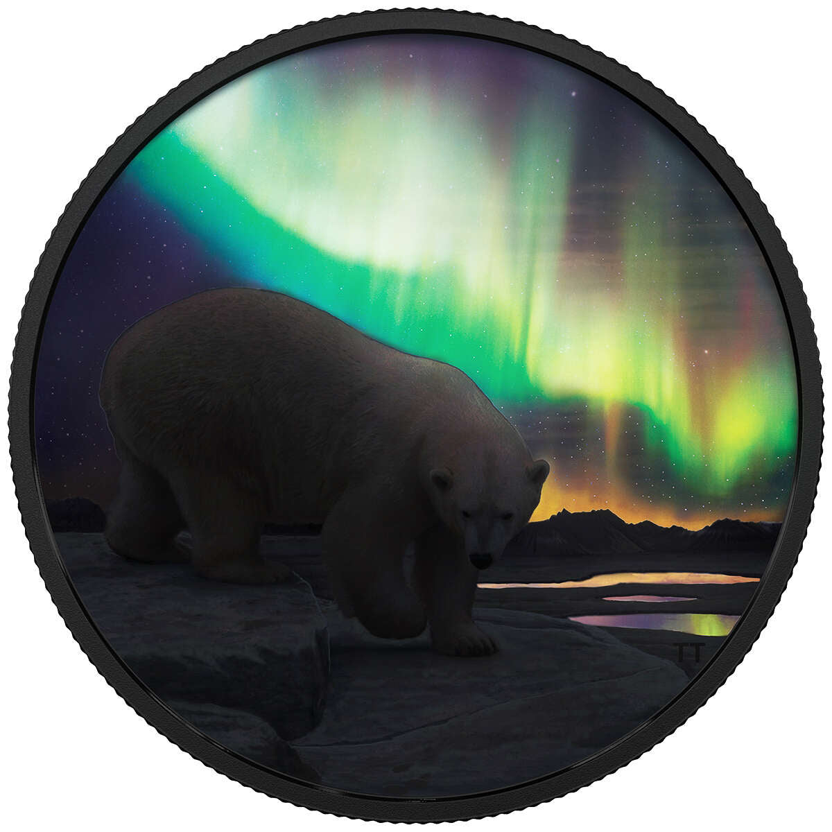 2018 $30 Arctic Animals and Northern Lights:Polar Bear - Pure Silver Coin Default Title