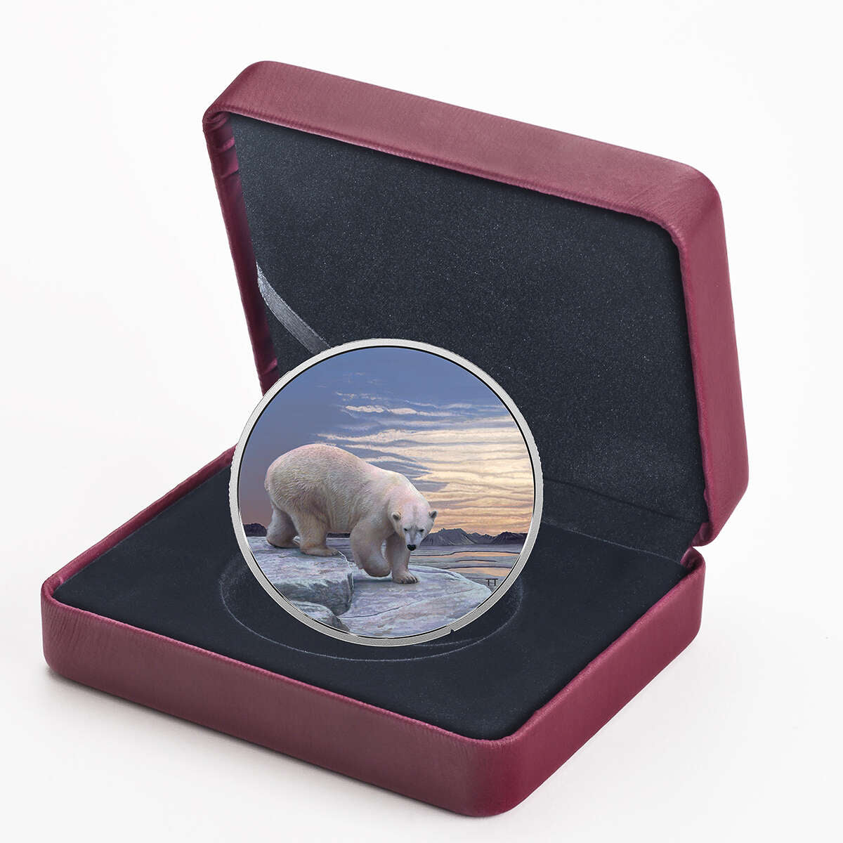 2018 $30 Arctic Animals and Northern Lights:Polar Bear - Pure Silver Coin Default Title