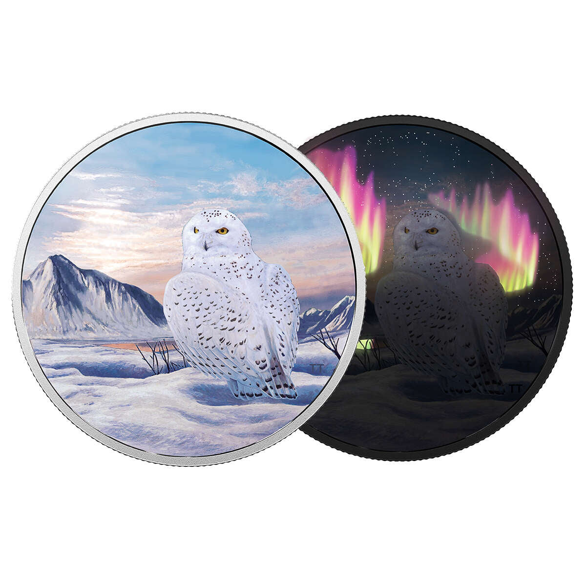 2018 $30 Arctic Animals and Northern Lights: Snowy Owl - Pure Silver Coin Default Title