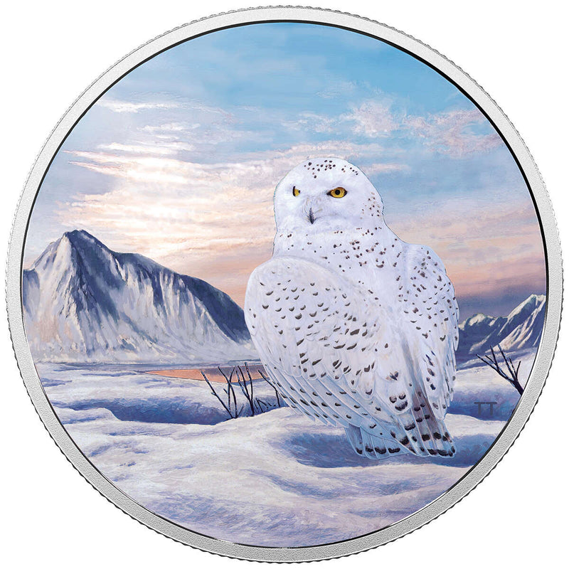 2018 $30 Arctic Animals and Northern Lights: Snowy Owl - Pure Silver Coin Default Title