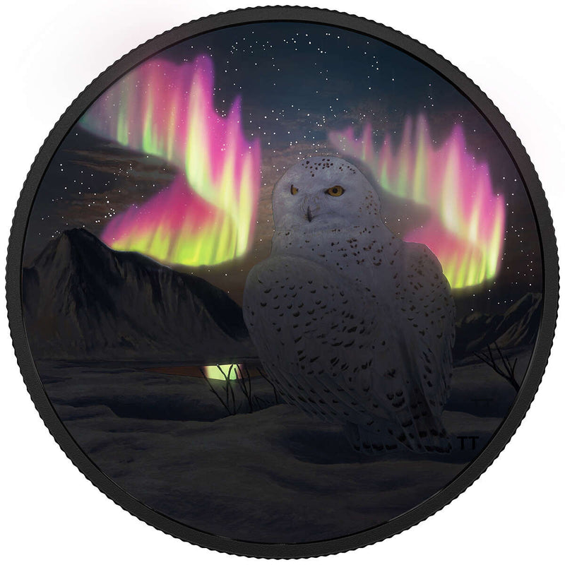 2018 $30 Arctic Animals and Northern Lights: Snowy Owl - Pure Silver Coin Default Title