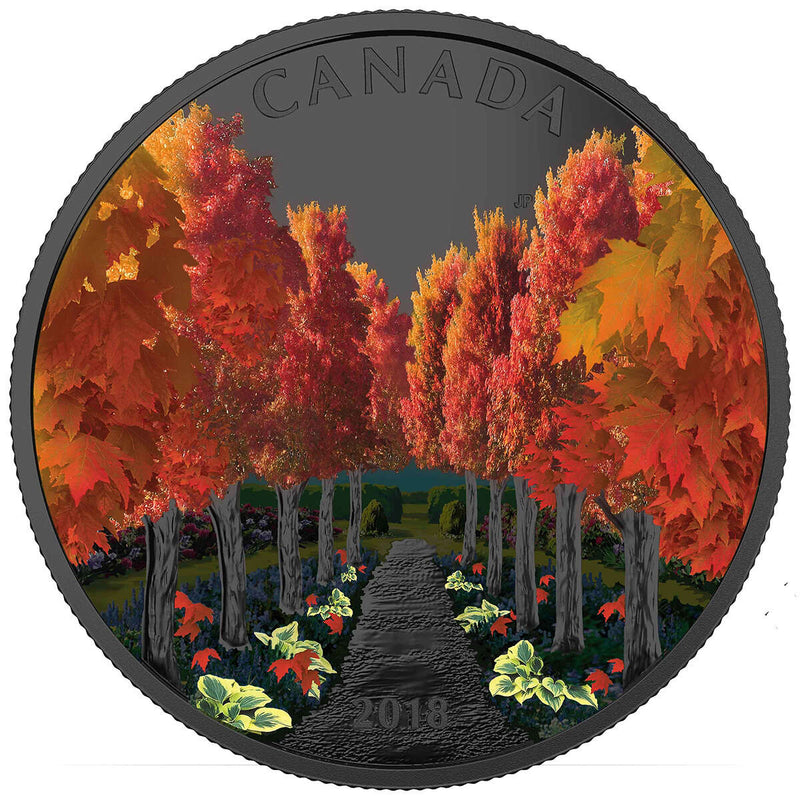 2018 $20 Maple Tree Tunnel - Pure Silver Coin Default Title