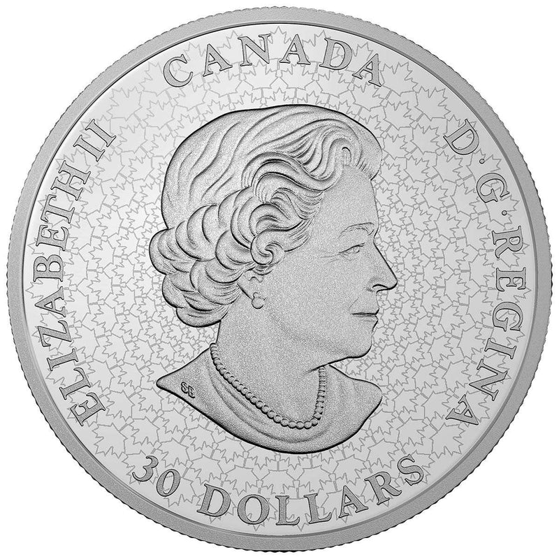 2018 $30 100th Anniversary of the Canadian National Institute of the Blind - Pure Silver Coin & Bronze Medallion Set Default Title