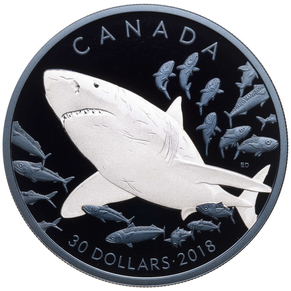 2018 $30 The Great White Shark - Pure Silver Coin Default Title