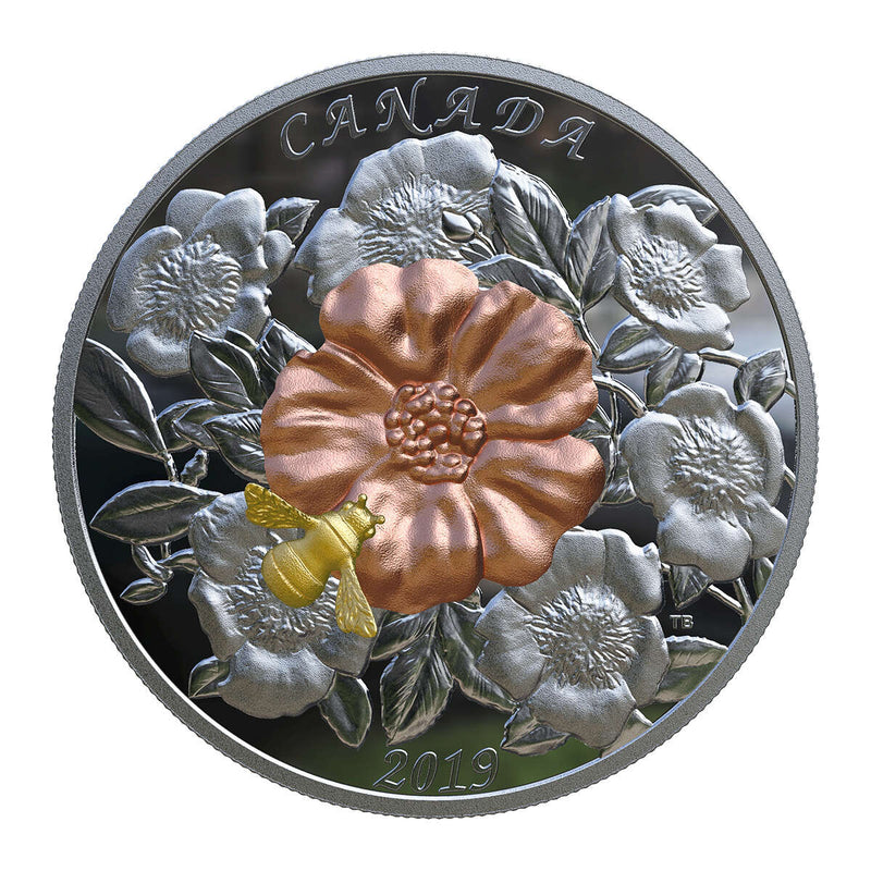 2019 $50 The Bumble Bee and the Bloom - Pure Silver Coin Default Title