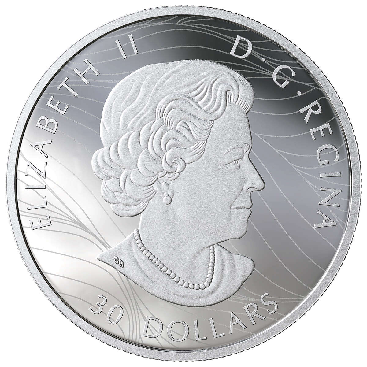 2019 $30 Canadian Canopy : The Canada Goose - Pure Silver Coin Default Title