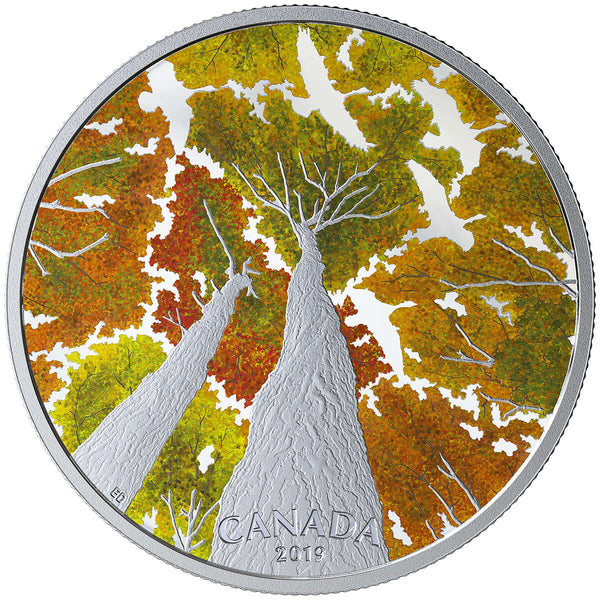 2019 $30 Canadian Canopy : The Canada Goose - Pure Silver Coin Default Title
