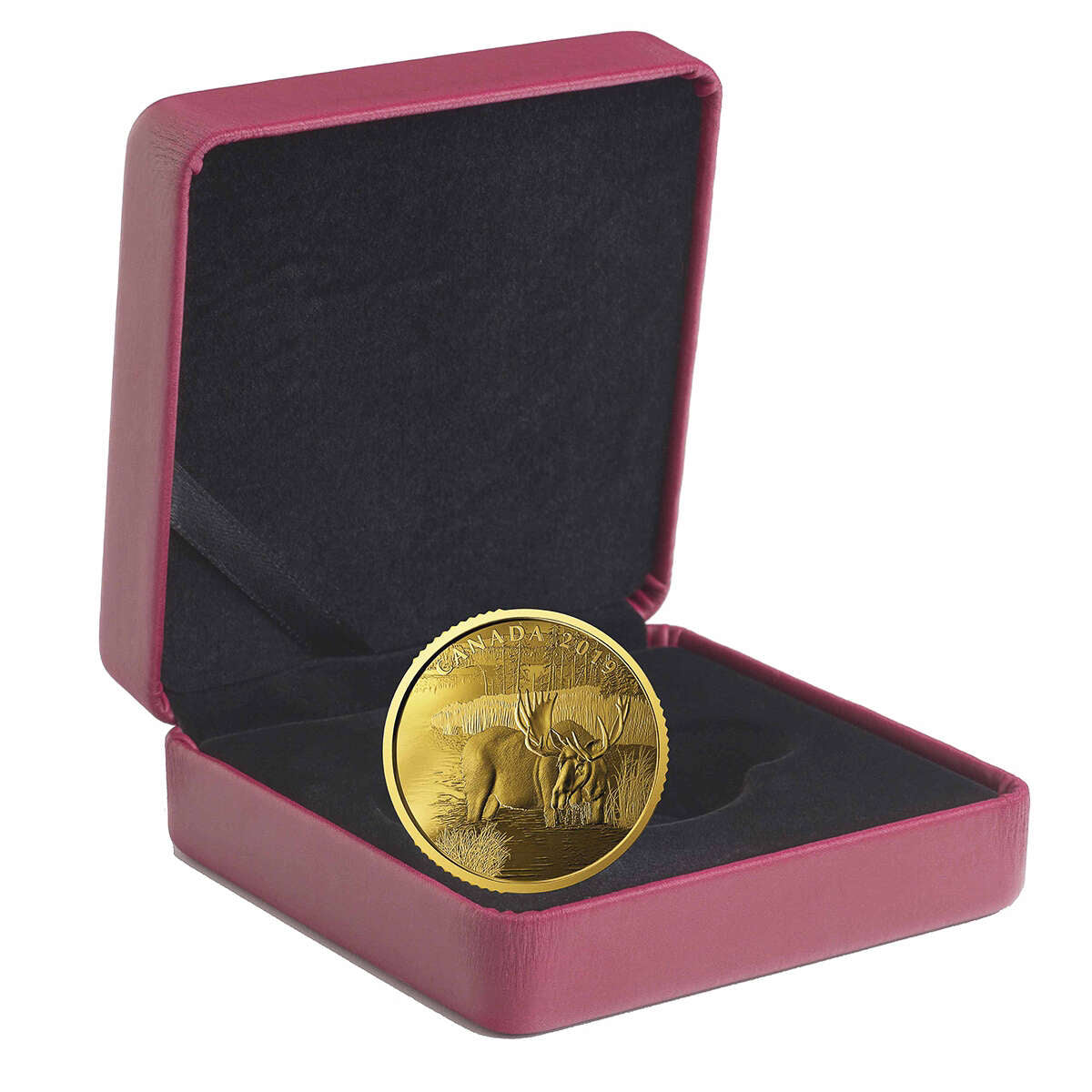 2019 $200 Canadian Moose - Pure Gold Coin