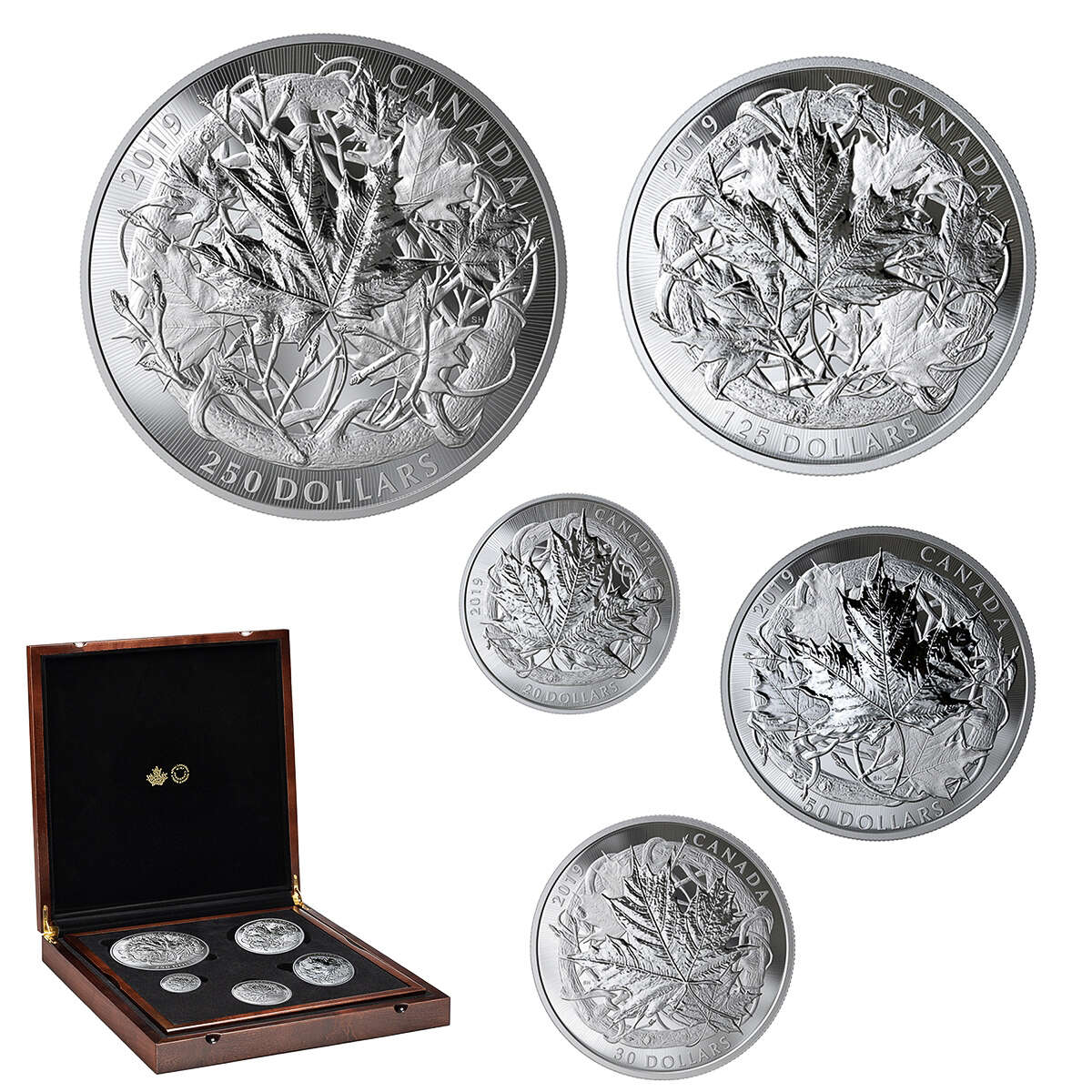 2019 The Canadian Maple Masters Collection - Pure Silver Coin Set Default Title