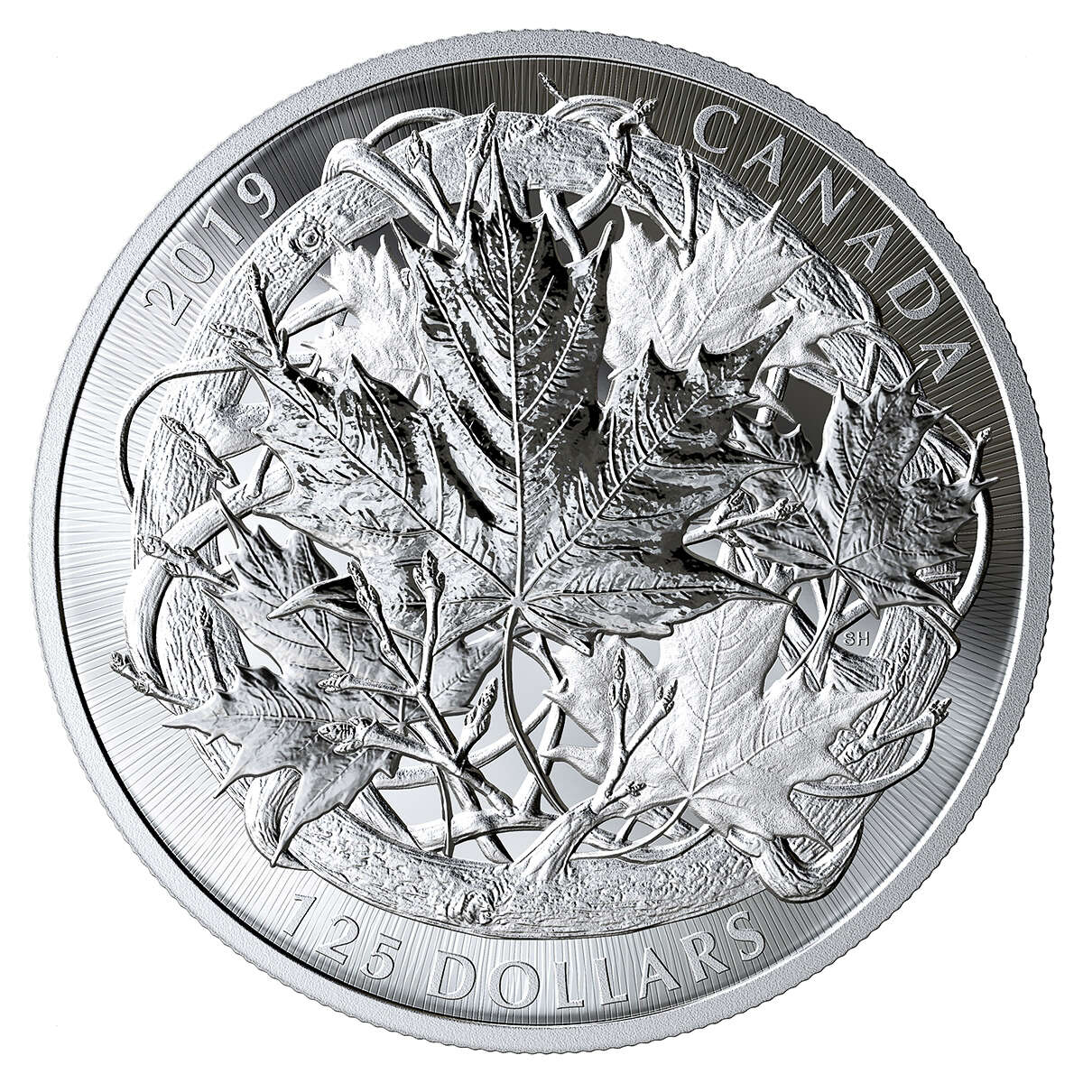 2019 The Canadian Maple Masters Collection - Pure Silver Coin Set Default Title