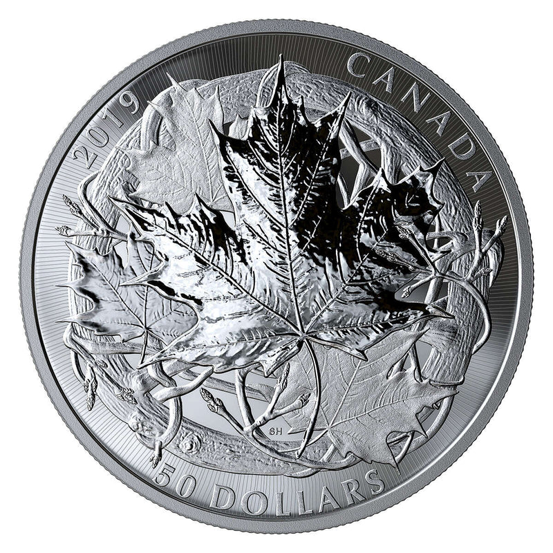 2019 The Canadian Maple Masters Collection - Pure Silver Coin Set Default Title