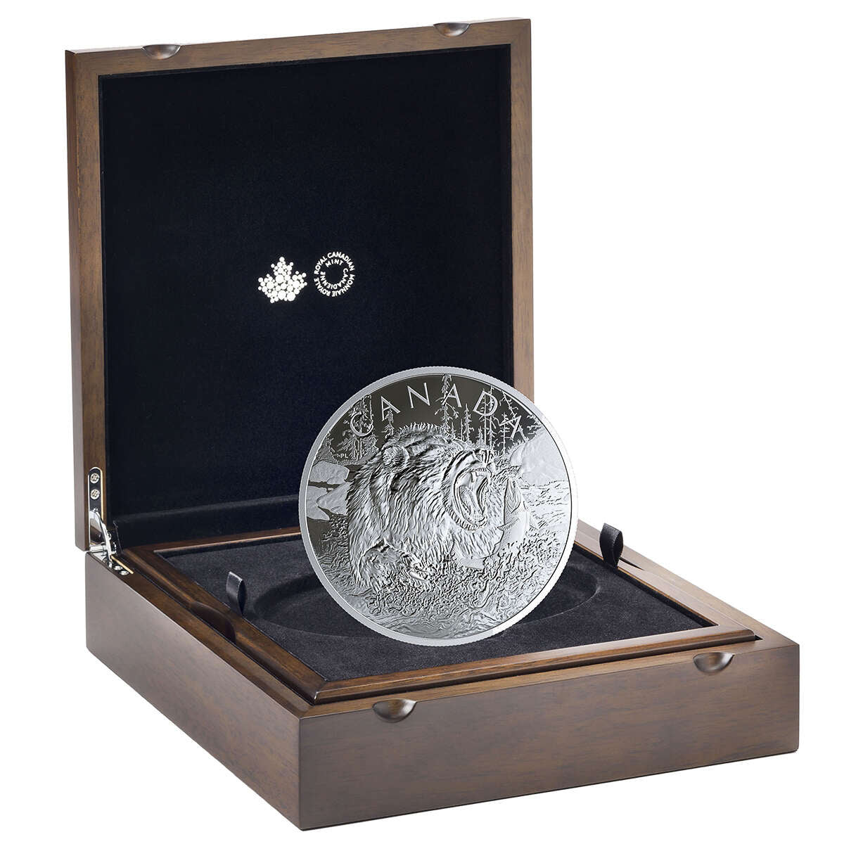 2019 $125 Primal Predators: Grizzly - Pure Silver Coin