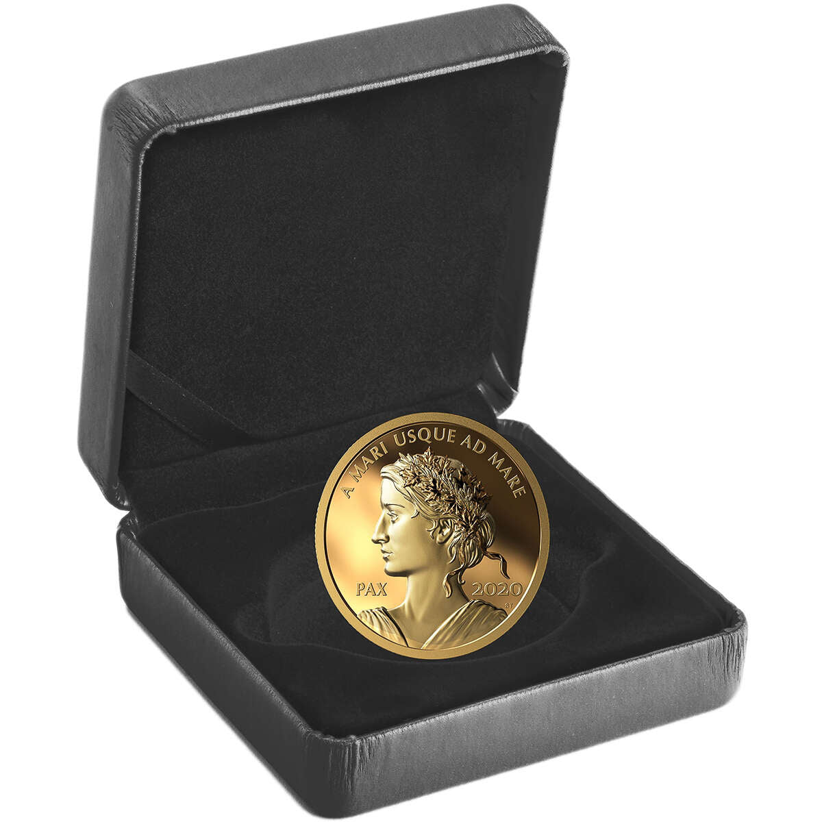 2020 $200 Peace Dollar - Pure Gold Coin Default Title