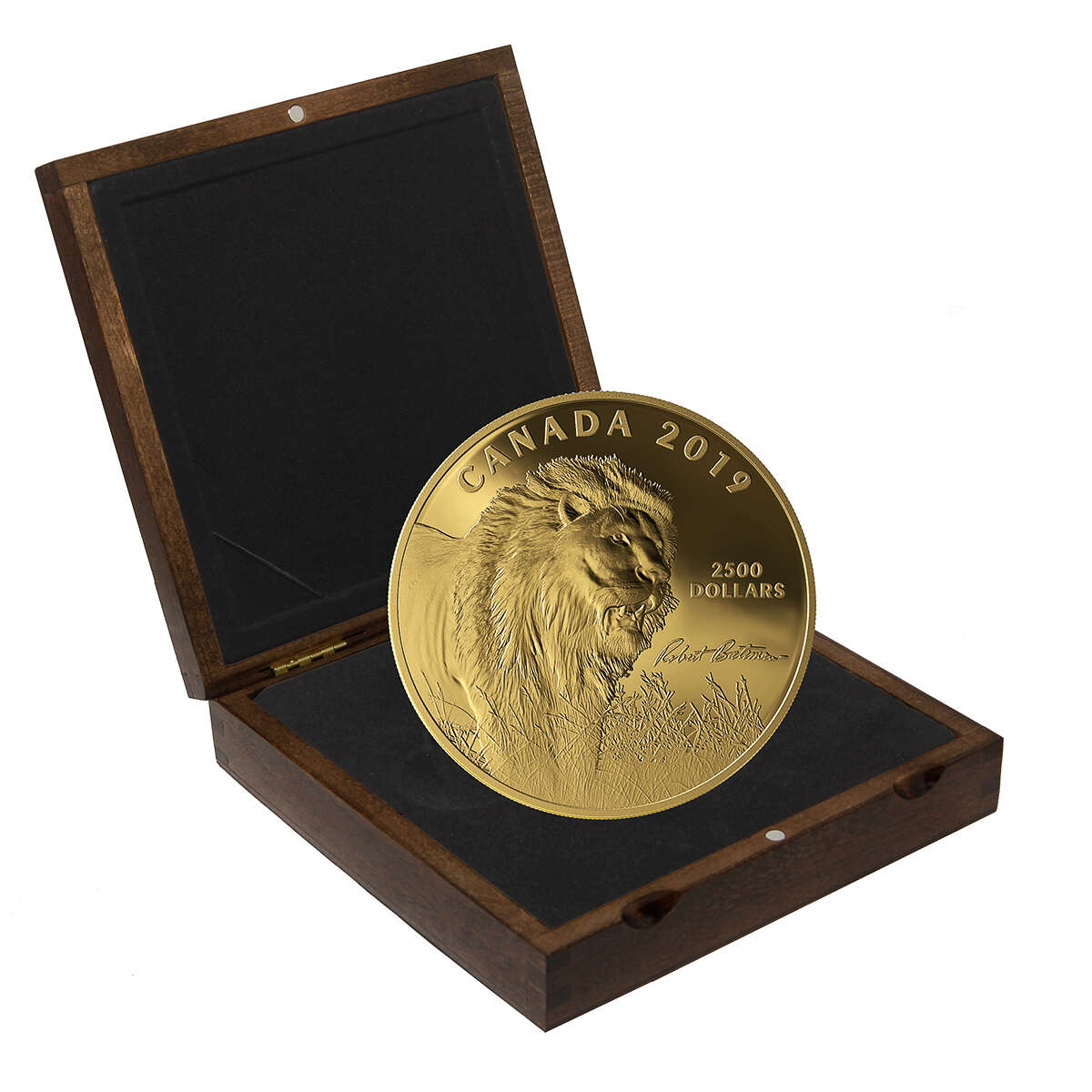 2019 $2500 Into The Light - Lion: Pure Gold Coin Default Title