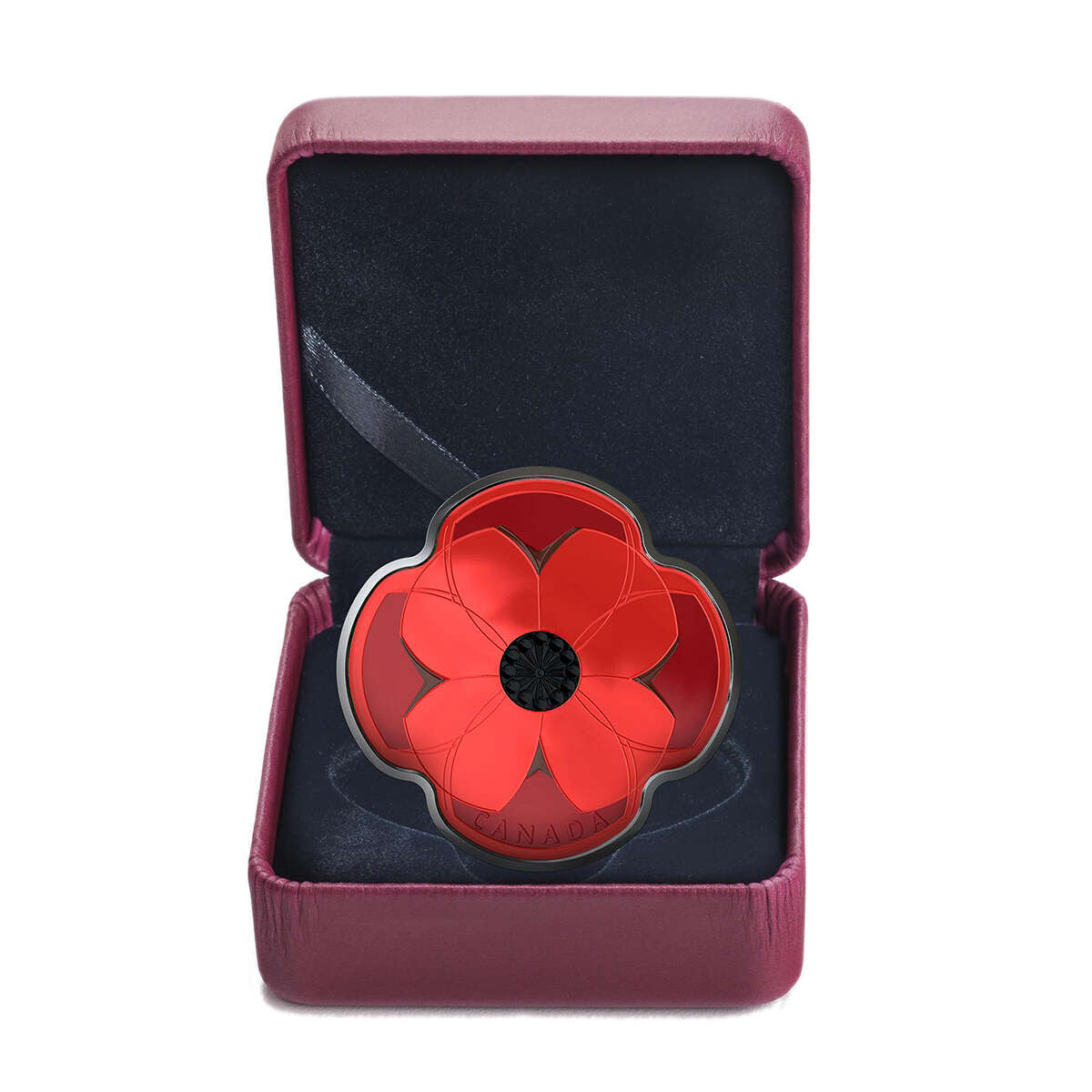 2019 $10 Remembrance Day - Pure Silver Coin