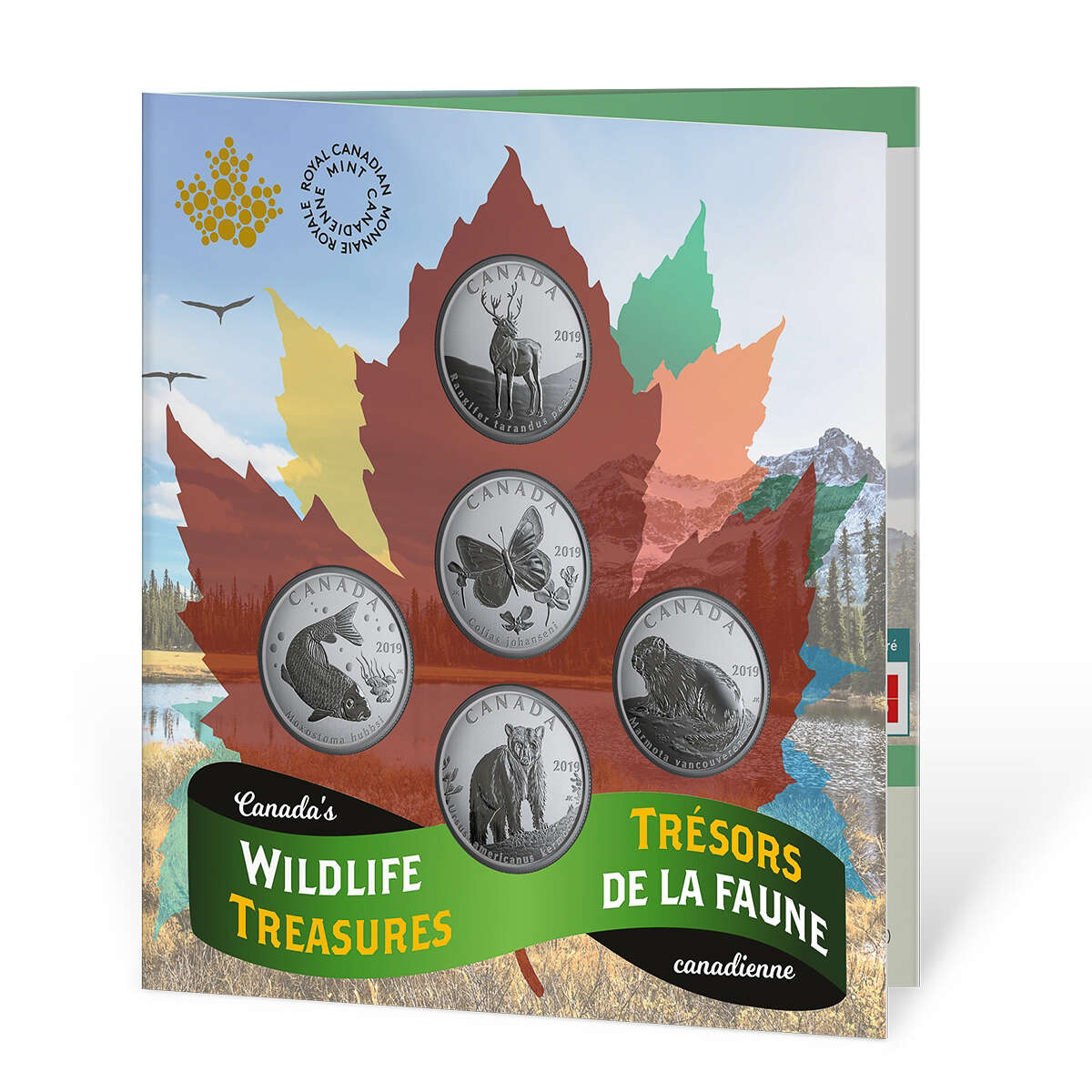 2019 50 cent Canada's Wildlife Treasures 5-Coin Set Default Title