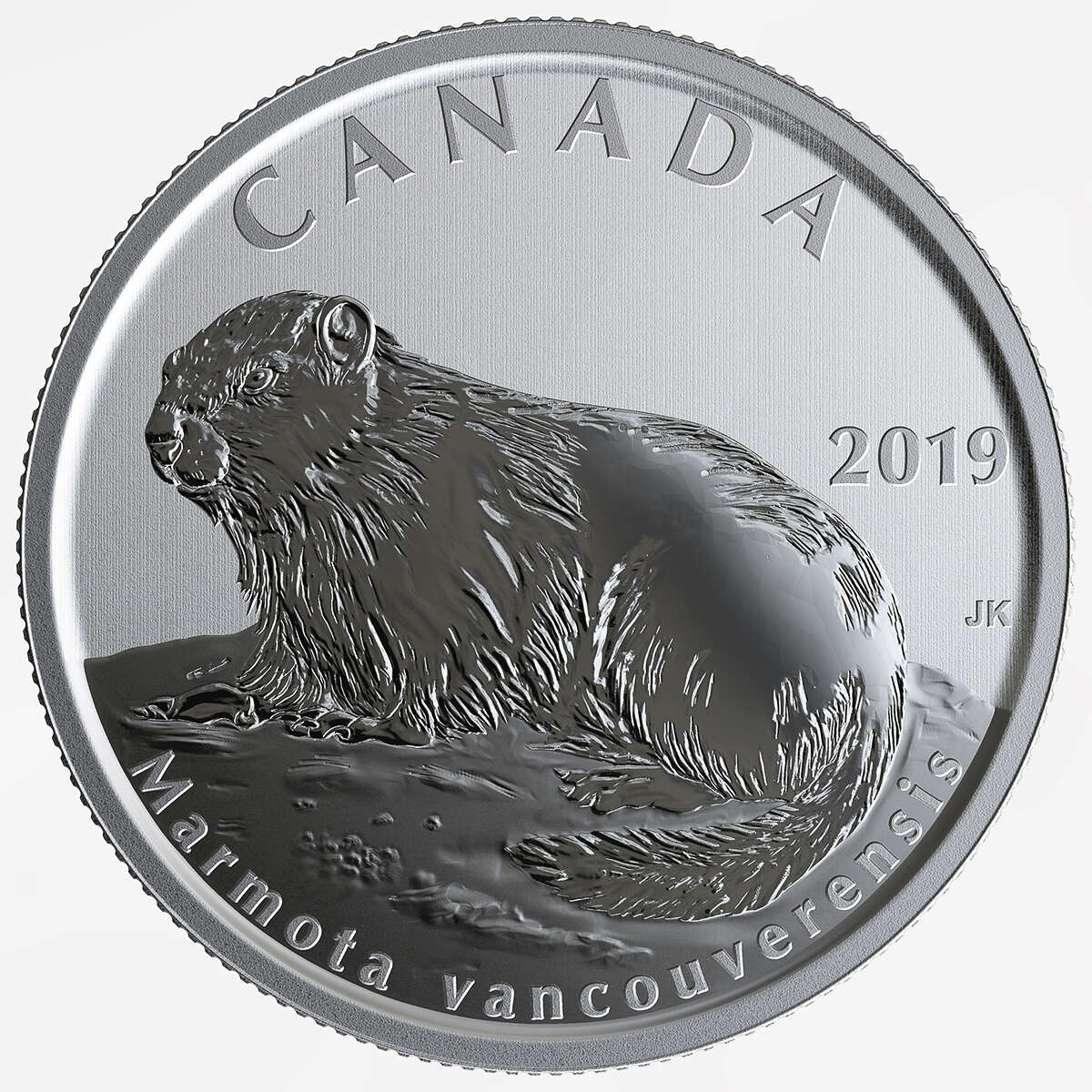 2019 50 cent Canada's Wildlife Treasures 5-Coin Set Default Title