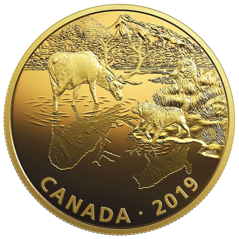 2019 $30 Golden Reflections: Predator and Prey – Wolves and Elks (SINGLE) - Pure Silver Coin Default Title