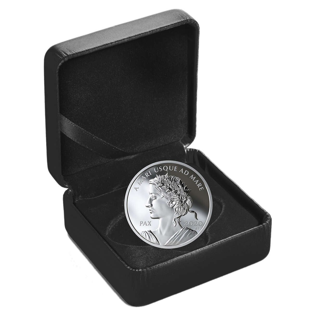2020 $1 Peace Dollar - Pure Silver Coin