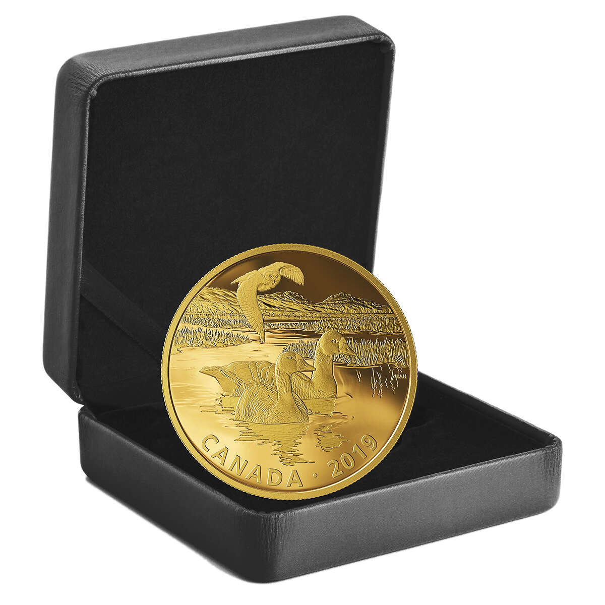 2019 $30 Golden Reflections: Predator and Prey – Owl and Geese (SINGLE) - Pure Silver Coin Default Title