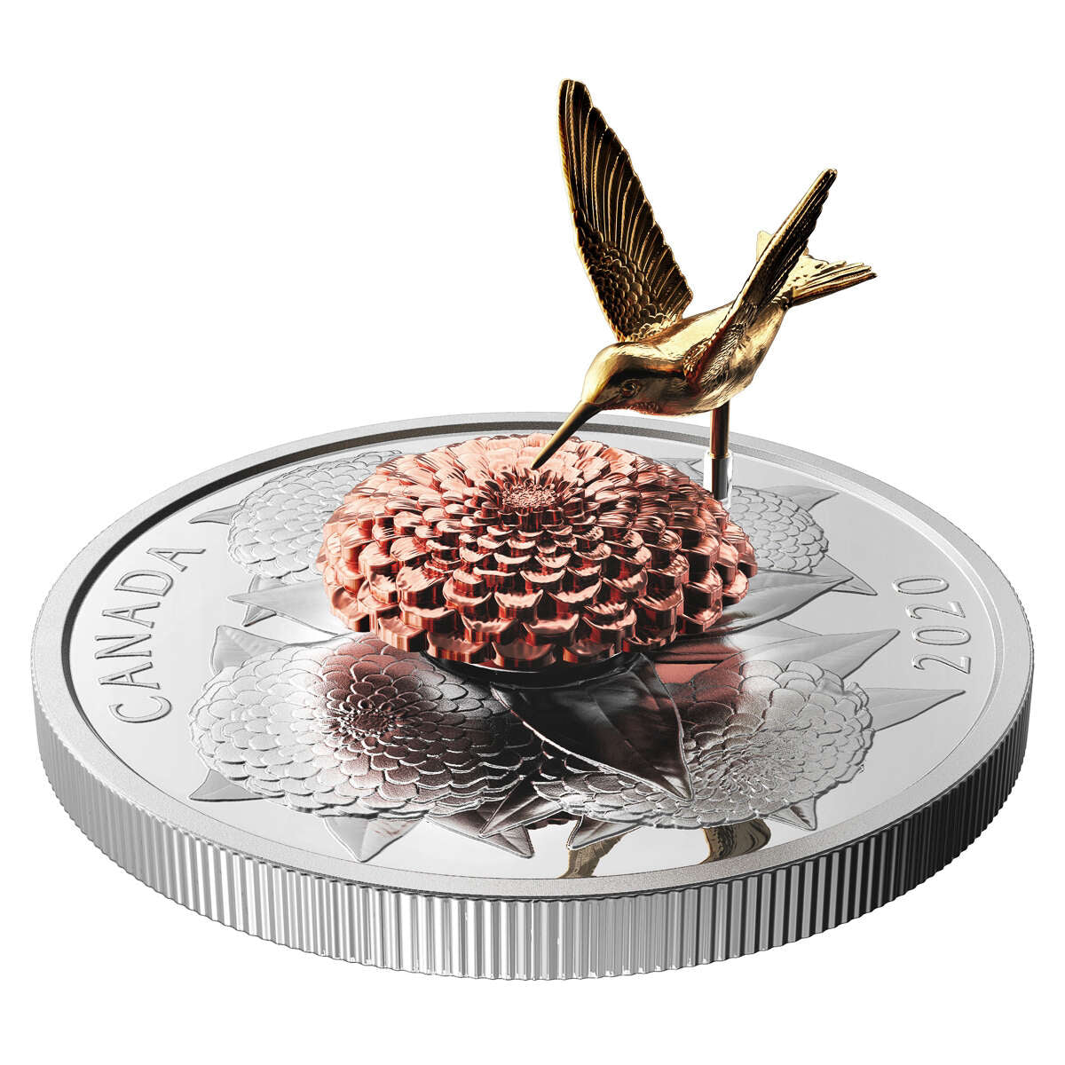 2020 $50 The Hummingbird and The Bloom - Pure Silver Coin Default Title