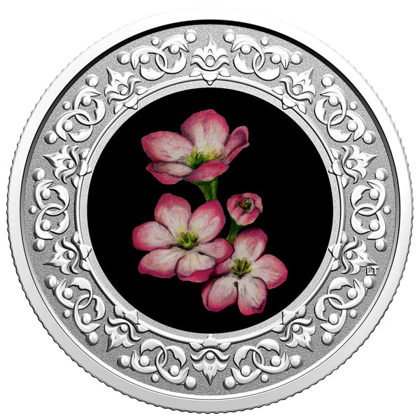 2020 ルワンダ「メイフラワー号」ノーティカル1オンス・カラー純銀貨 2020 $3 Floral Emblems of Canada - Nova Scotia: Mayflower - Pure Silve