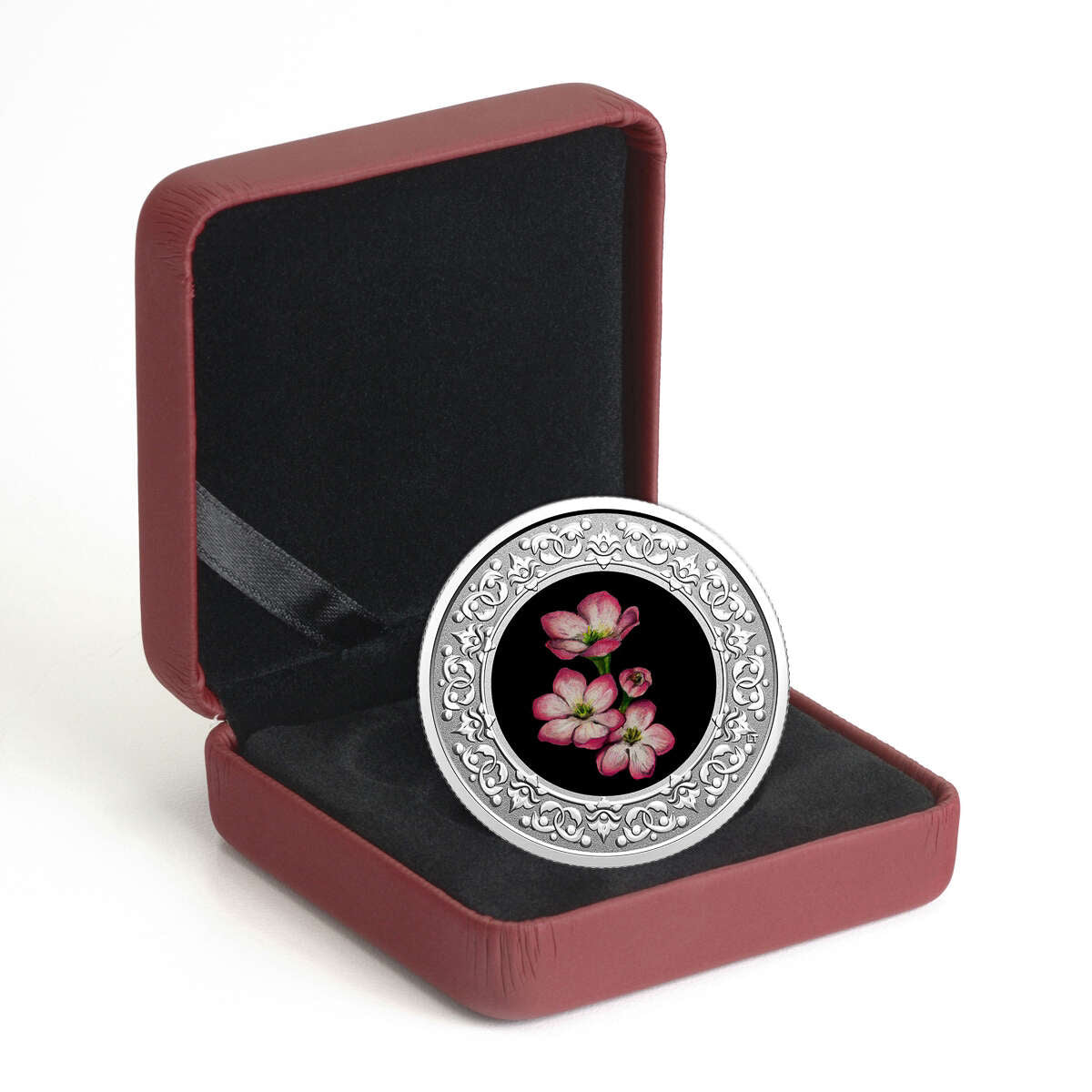 2020 $3 Floral Emblems of Canada - Nova Scotia: Mayflower - Pure Silve