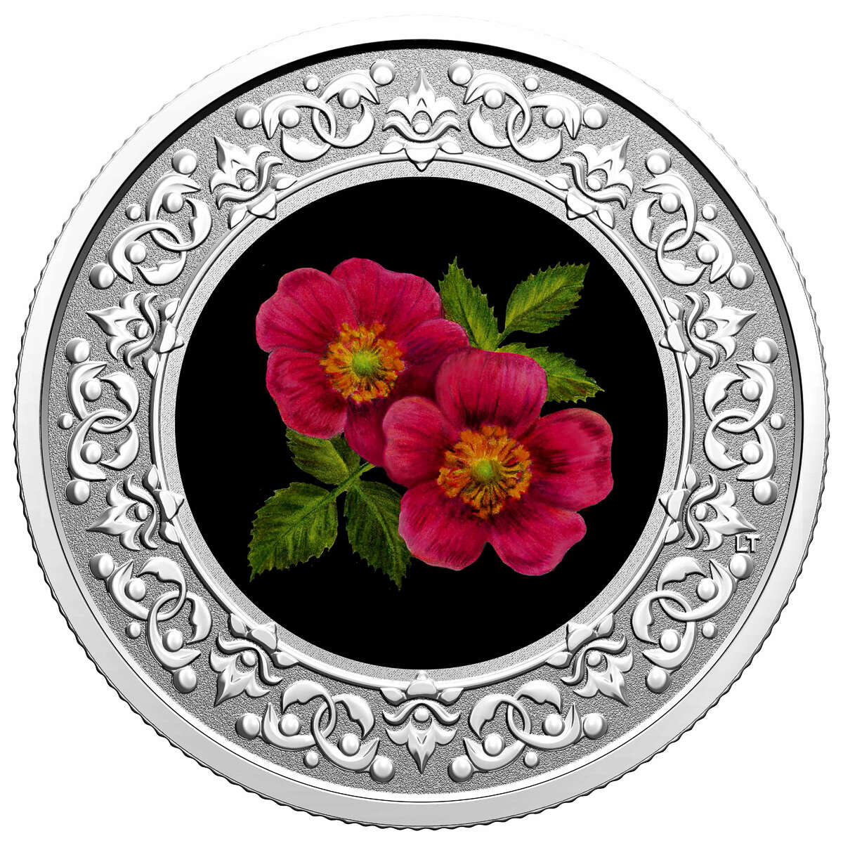 2021 $3 Floral Emblems of Canada - Alberta: Wild Rose -  Pure Silver Coin Default Title