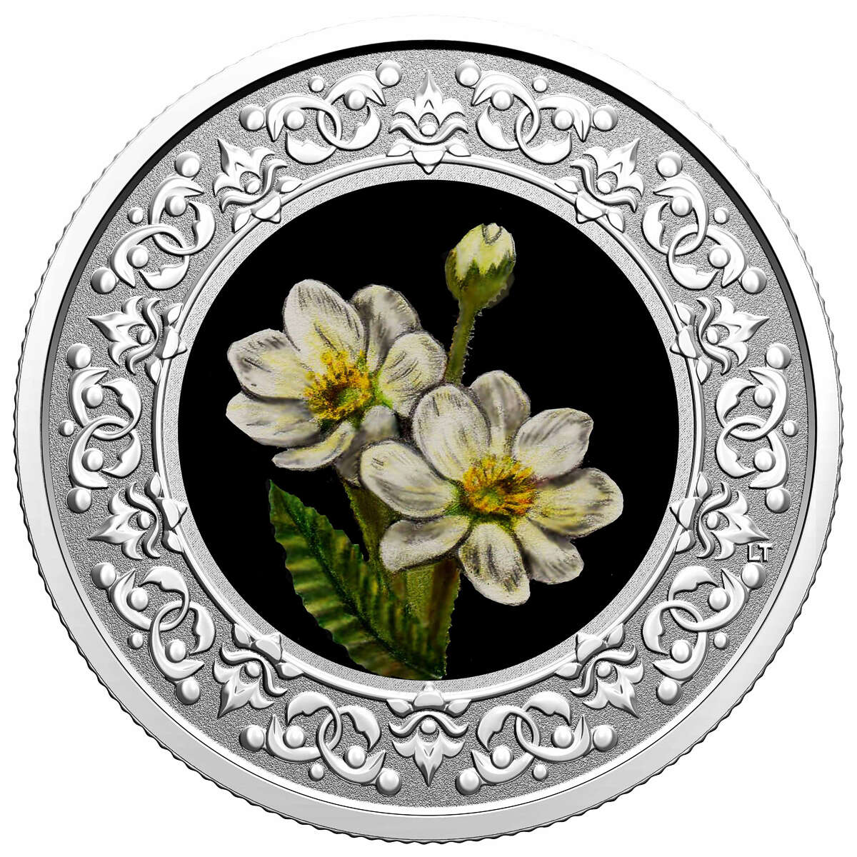 2021 $3 Floral Emblems of Canada - Northwest Territories: Mountain Avens -  Pure Silver Coin Default Title