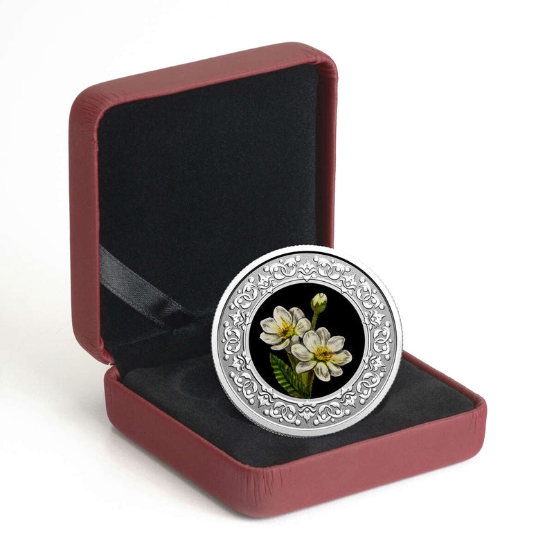 2021 $3 Floral Emblems of Canada - Northwest Territories: Mountain Avens -  Pure Silver Coin Default Title