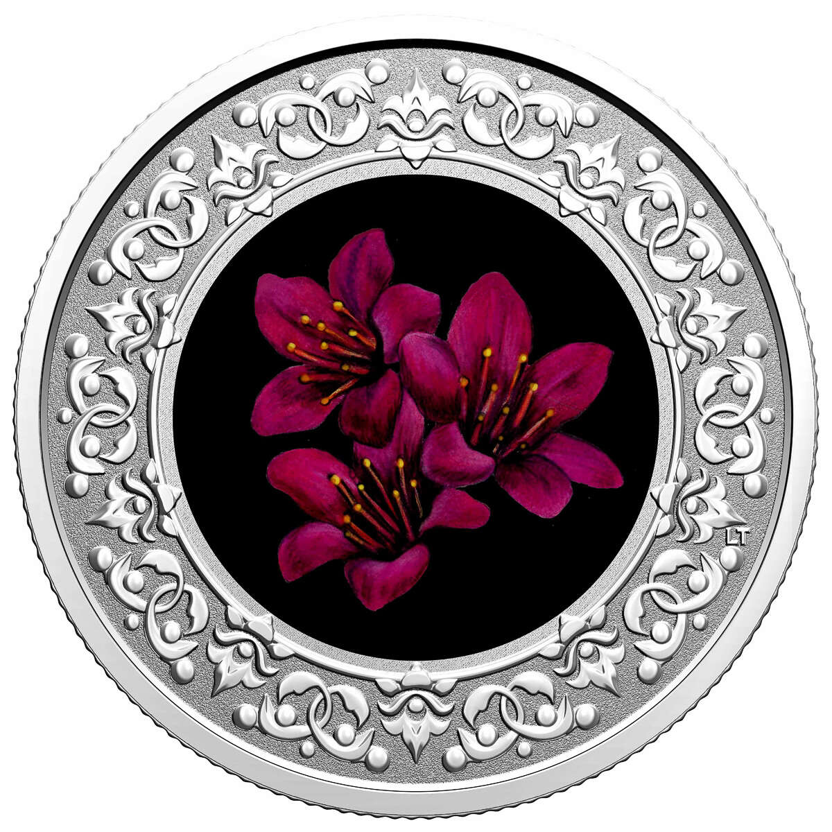 2021 $3 Floral Emblems of Canada - Nunavut: Purple Saxifrage -  Pure Silver Coin Default Title