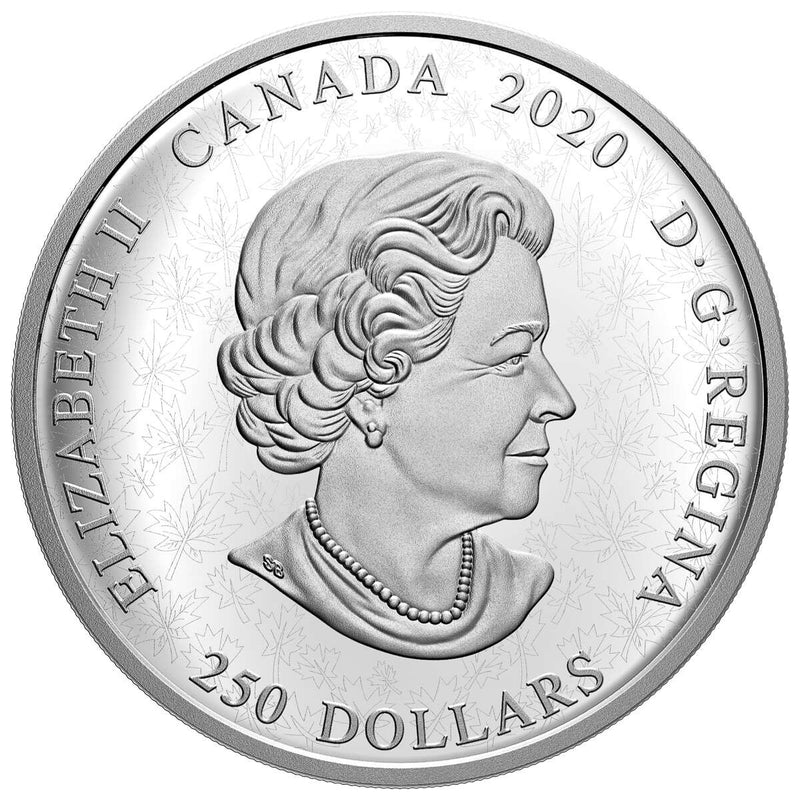 2020 $250 Reimagined 1905 Arms of Dominion of Canada - Pure Silver Coin Default Title