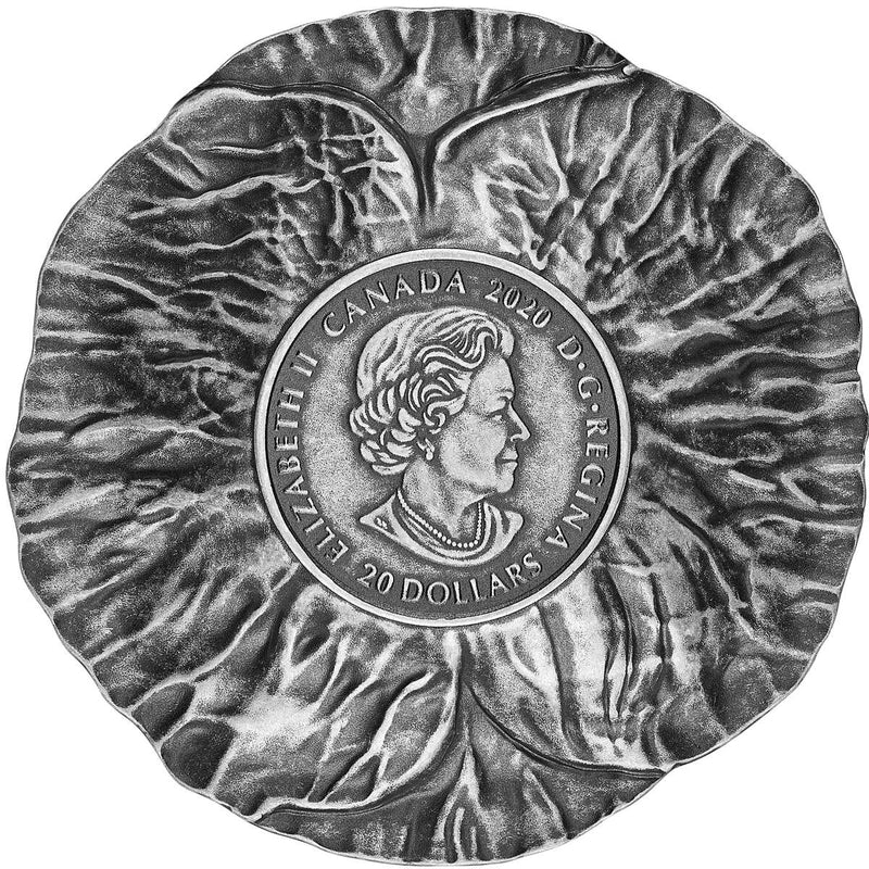 2020 $20 Remembrance Day - Pure Silver Coin Default Title