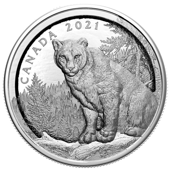 2021 $50 Multilayered Cougar - Pure Silver Coin Default Title