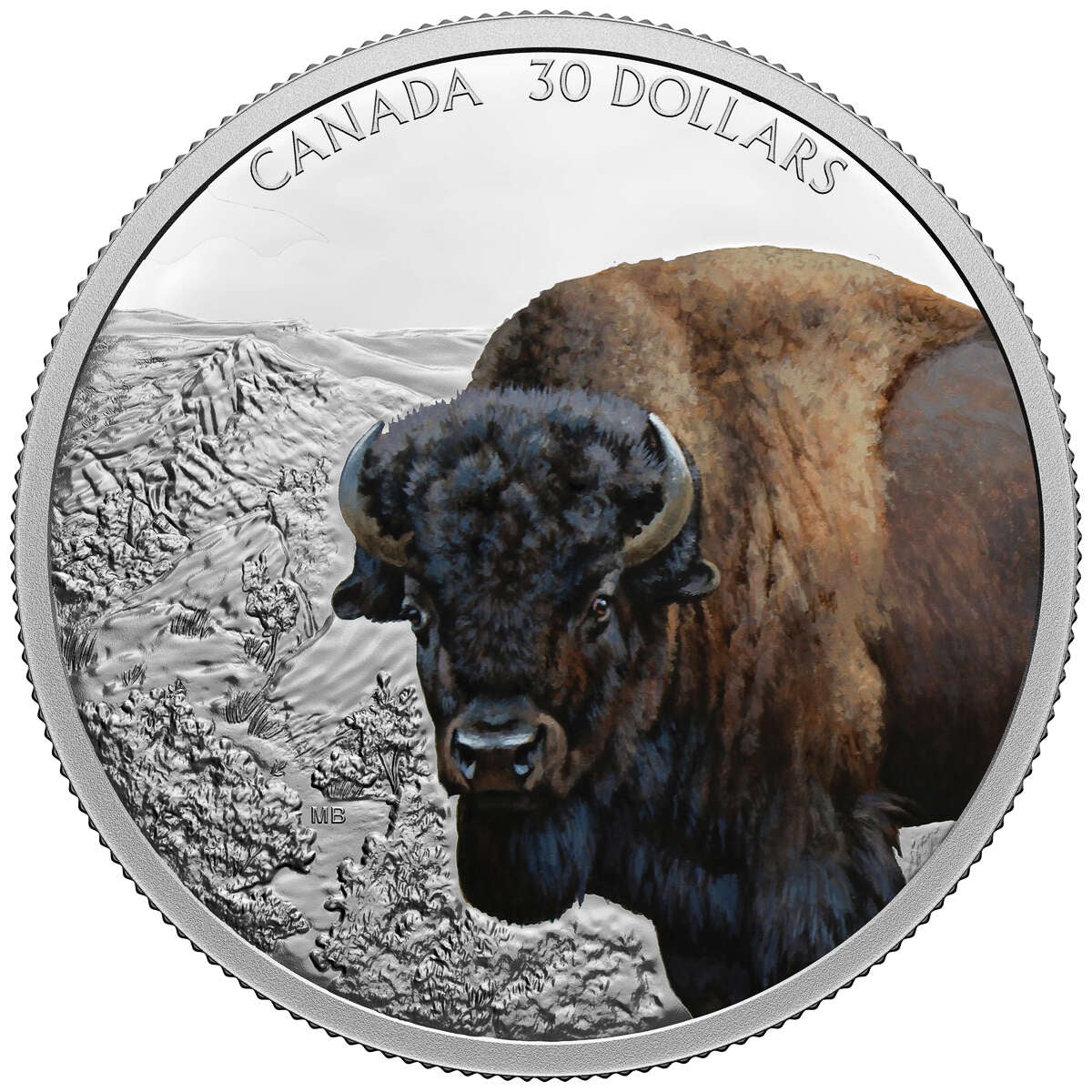 2021 $30 Imposing Icons: Bison - Pure Silver Coin