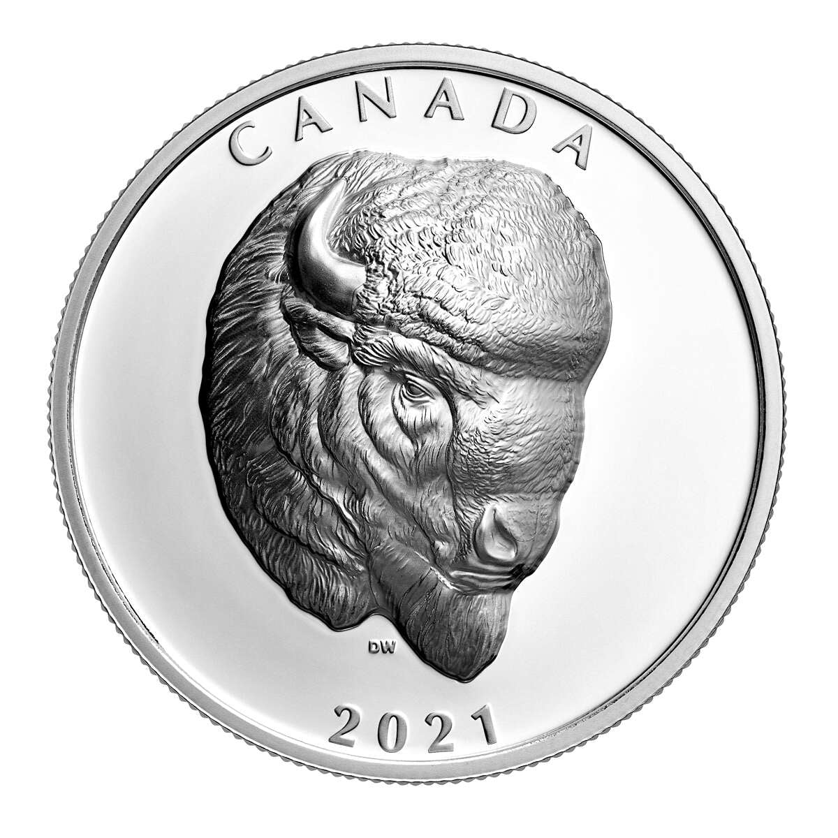 2021 $25 Bold Bison (EHR) - Pure Silver Coin Default Title