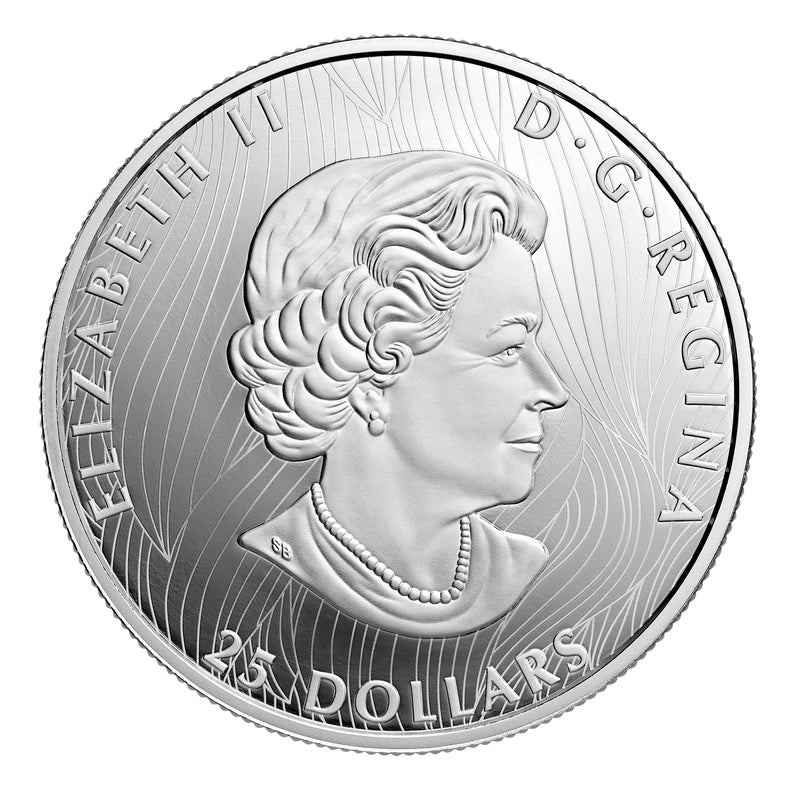 2021 $25 Bold Bison (EHR) - Pure Silver Coin Default Title