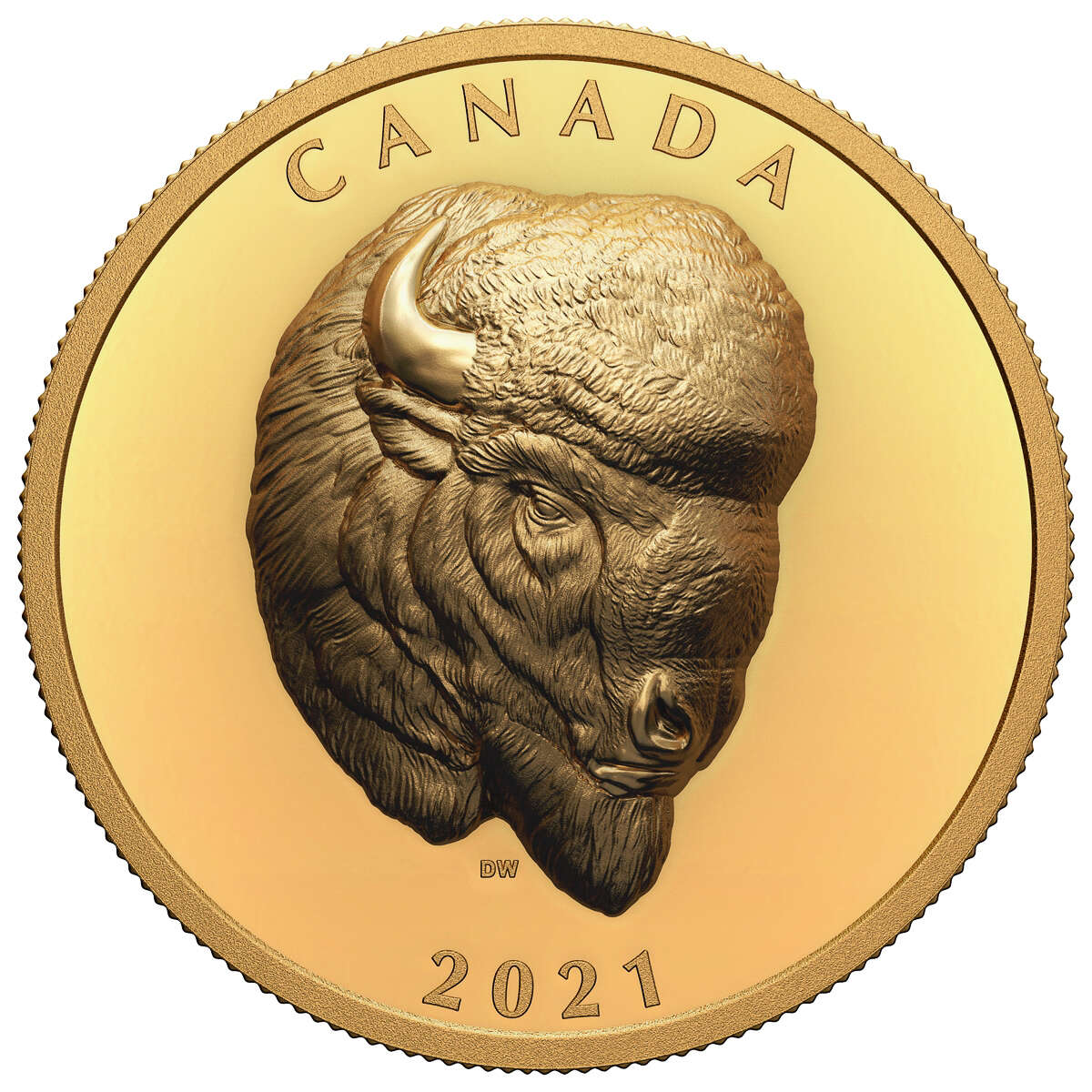 2021 $250 Bold Bison (EHR) - Pure Gold Coin Default Title